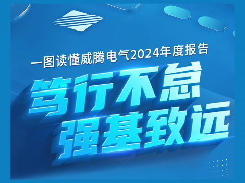 一图读懂BBIN宝盈集团电气2024年度报告