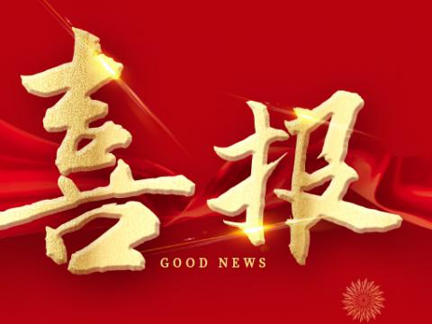 BBIN宝盈集团电气荣膺江苏省制造业领航企业